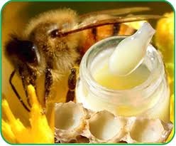 Sữa ong chúa dưỡng da toàn thân đặc biệt hiệu quả