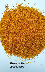Phấn hoa trà Bảo Lộc