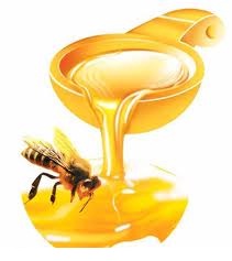 Mật ong xịn - Nguồn dinh dưỡng tuyệt vời từ thiên nhiên