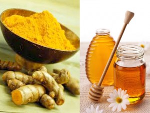 Mật ong nghệ Mật ong nghệ