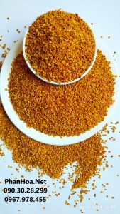 Mua Phấn hoa ở đâu tốt