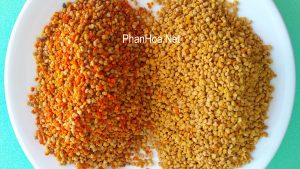 Phấn hoa thiên nhiên