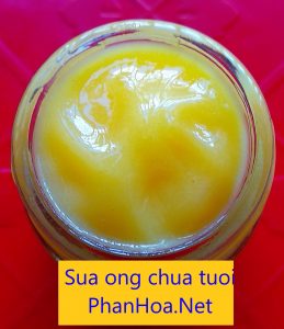 Sữa ong chúa tươi