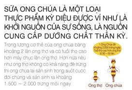 Tác dụng tuyệt vời của sữa ong chúa tươi