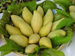 Trái cây cho bé giàu vitamin