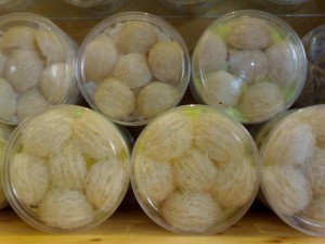 Tổ yến sơ chế